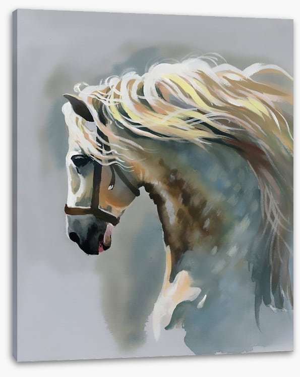 Canter