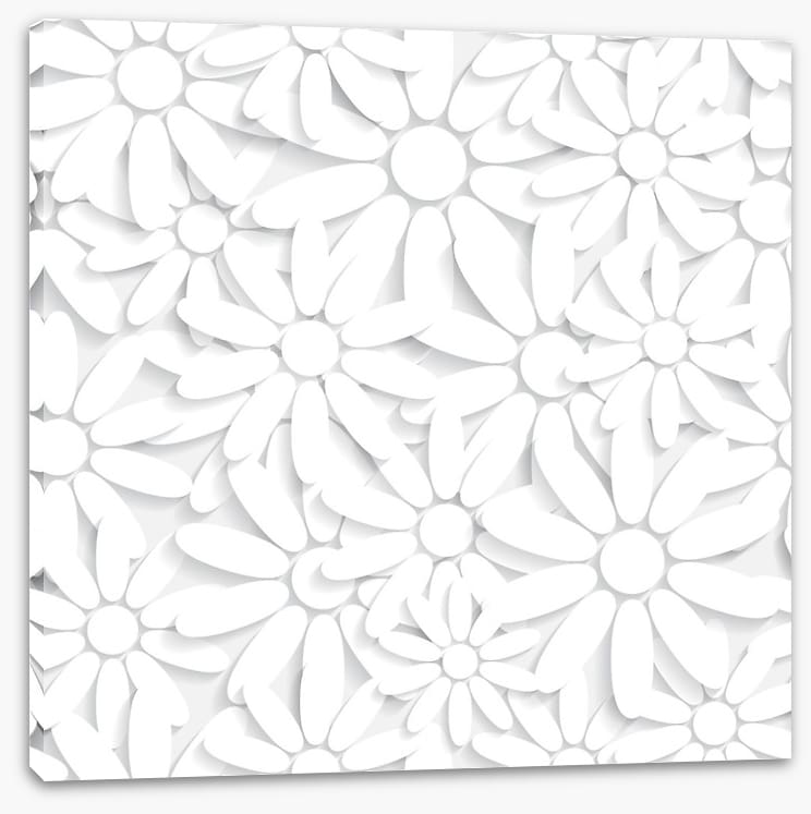 Daisy delight