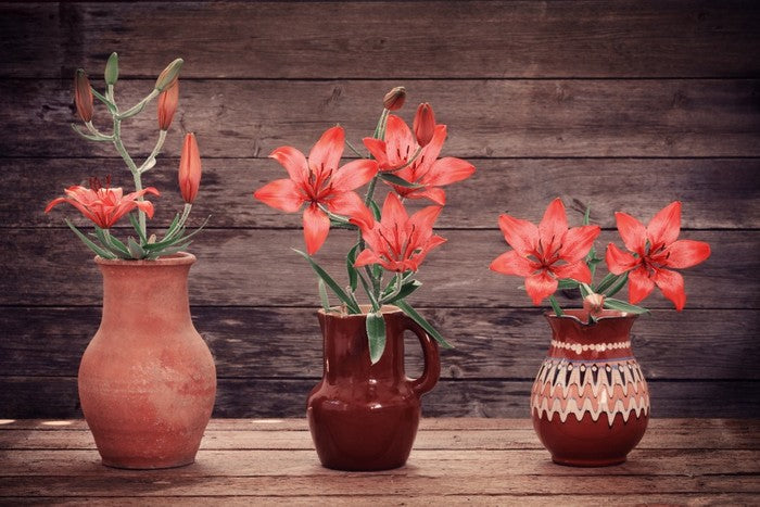 Terracotta lillies