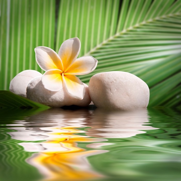 Frangipani and palm leaves