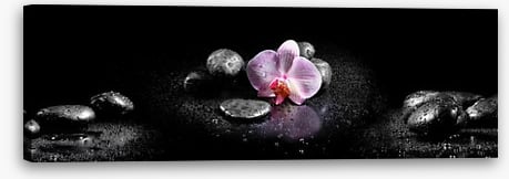Orchids and stones panoramic