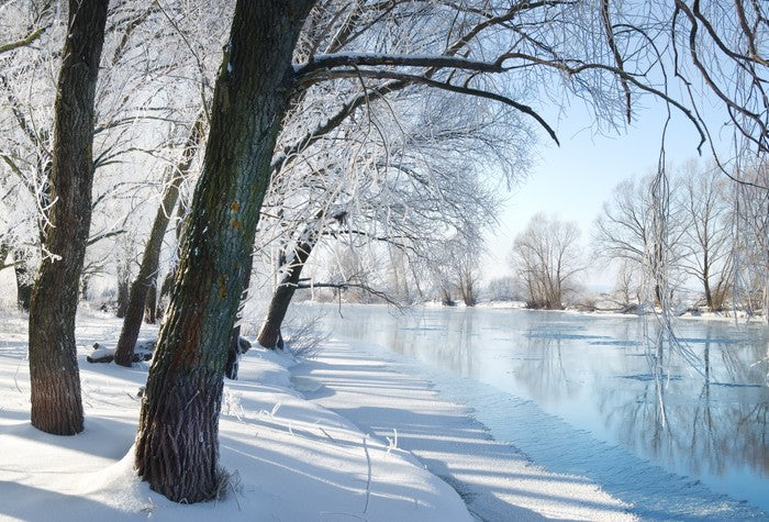 Across the frozen river