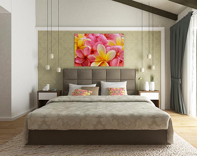 Frangipani flowers
