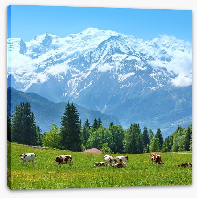 Below Mont Blanc