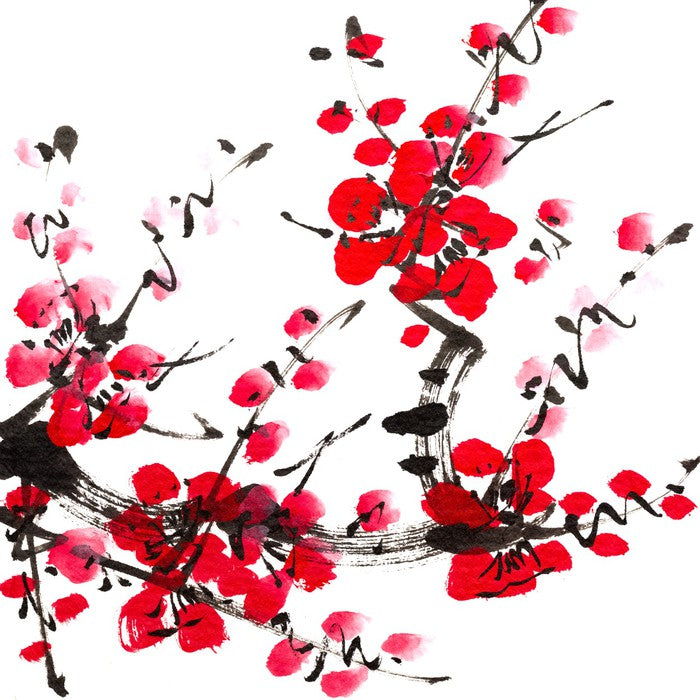 Plum blossom