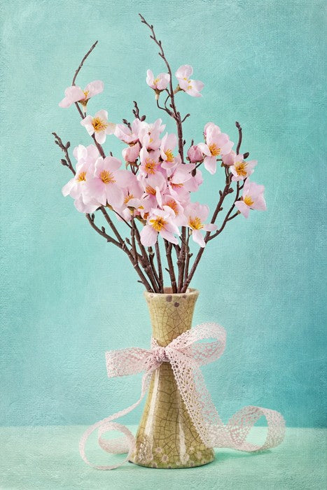 Spring apple blossoms