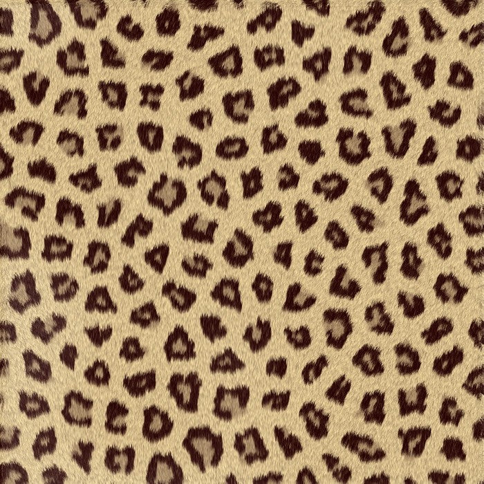 Animal Print