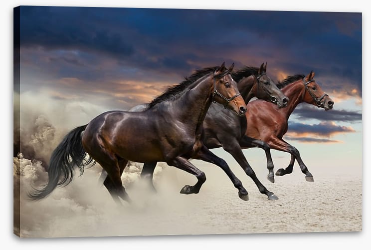 Sandy gallop