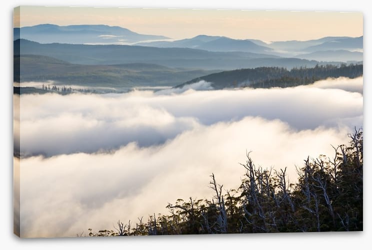 Tasmania