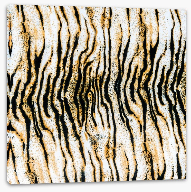 Animal Print