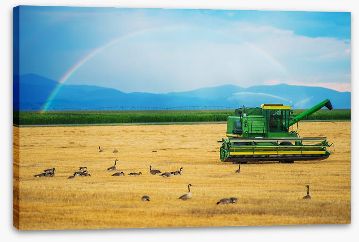 Agriculture