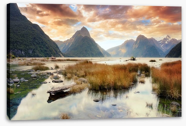 Milford Sound splendour