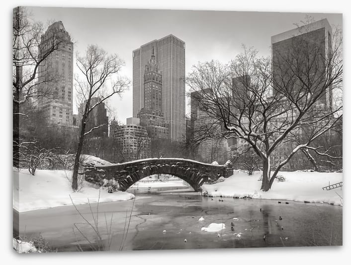 Central Park glacé