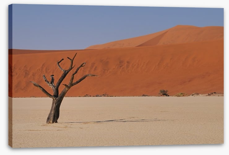 Africa