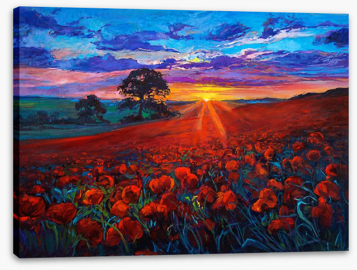 Last ray poppies