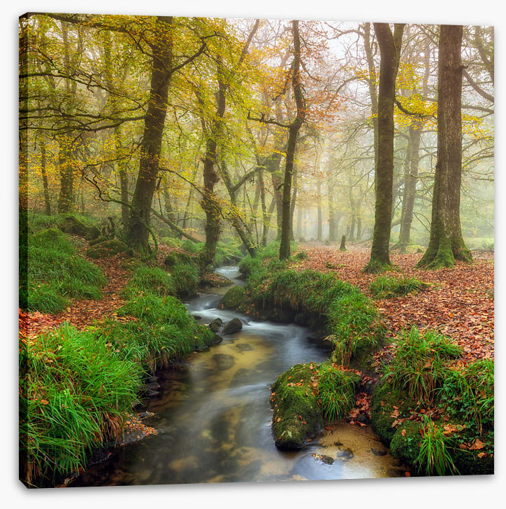 The wandering stream
