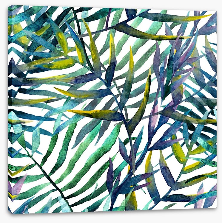 Tropical fronds