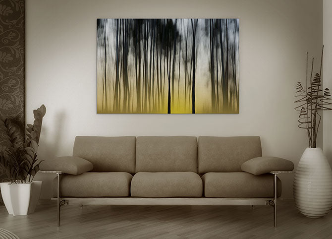 Dawn in the forest