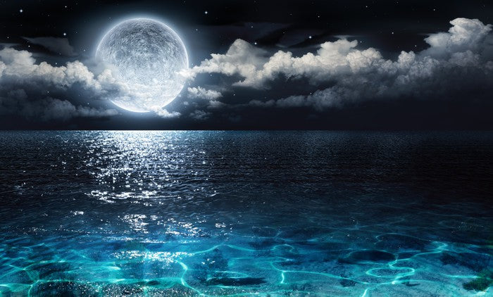 Moonshine seascape