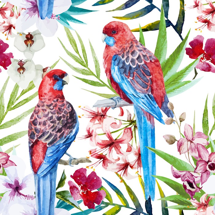 Two crimson rosellas
