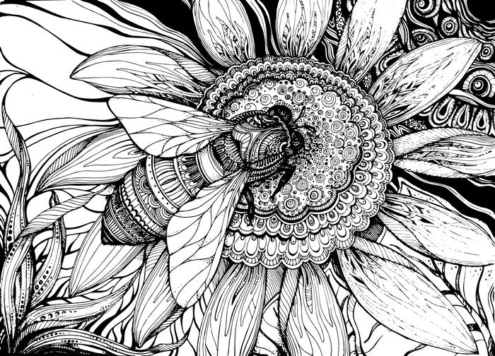 Honey bee