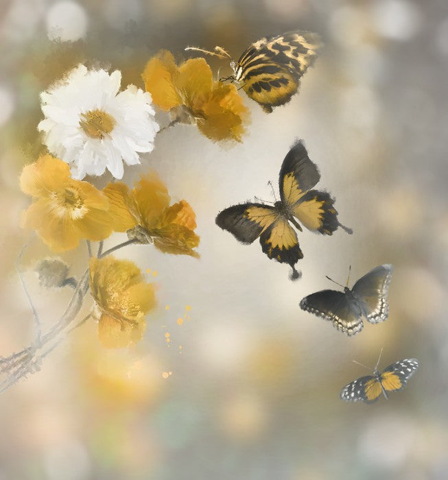 Butterflies