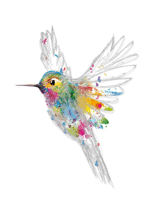 Rainbow honey-eater