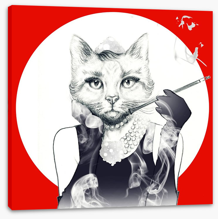 Feline of the night