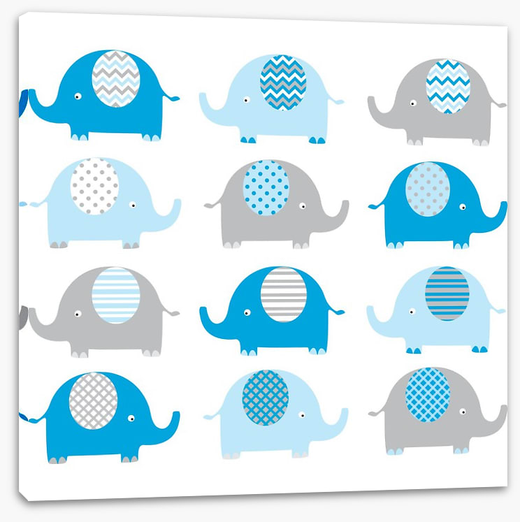 Baby blue elephants