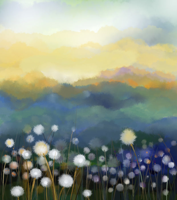 Meadow morning