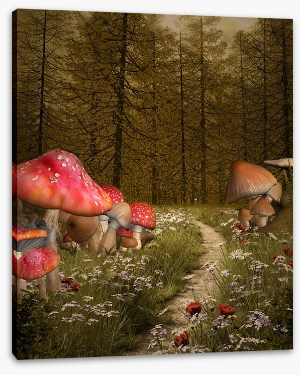 The enchanted path