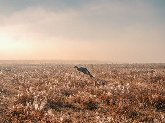 Boundless plains