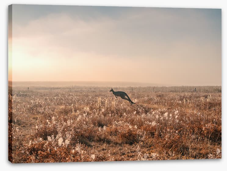 Boundless plains