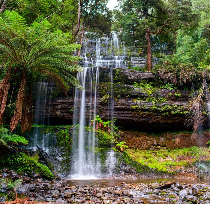 Russell Falls Creek