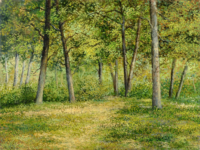 Forest fringe