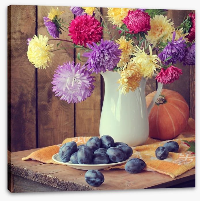 Still Life