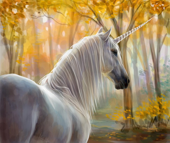 Fantasy