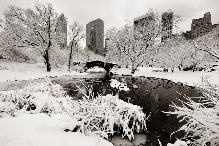 After the snowstorm