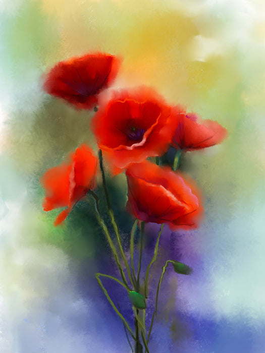 Summer poppies