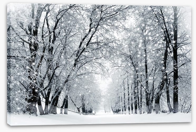Magical snowstorm
