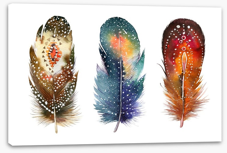 Feather me native