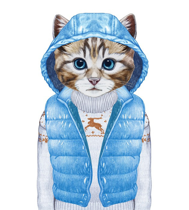 Puss in puffer