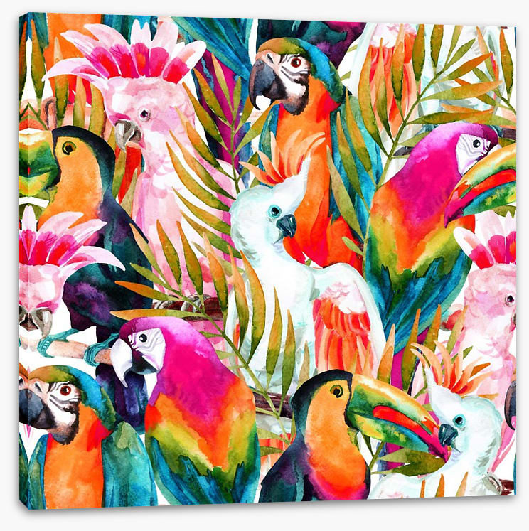 Parrots and cockatoo