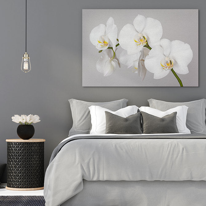 White orchid branch
