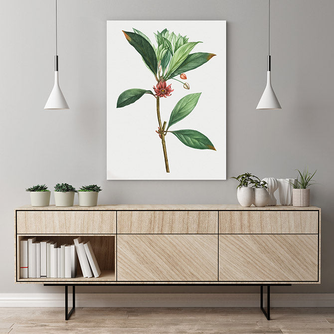 Vintage anise