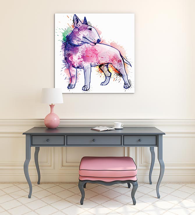 Bull terrier splash
