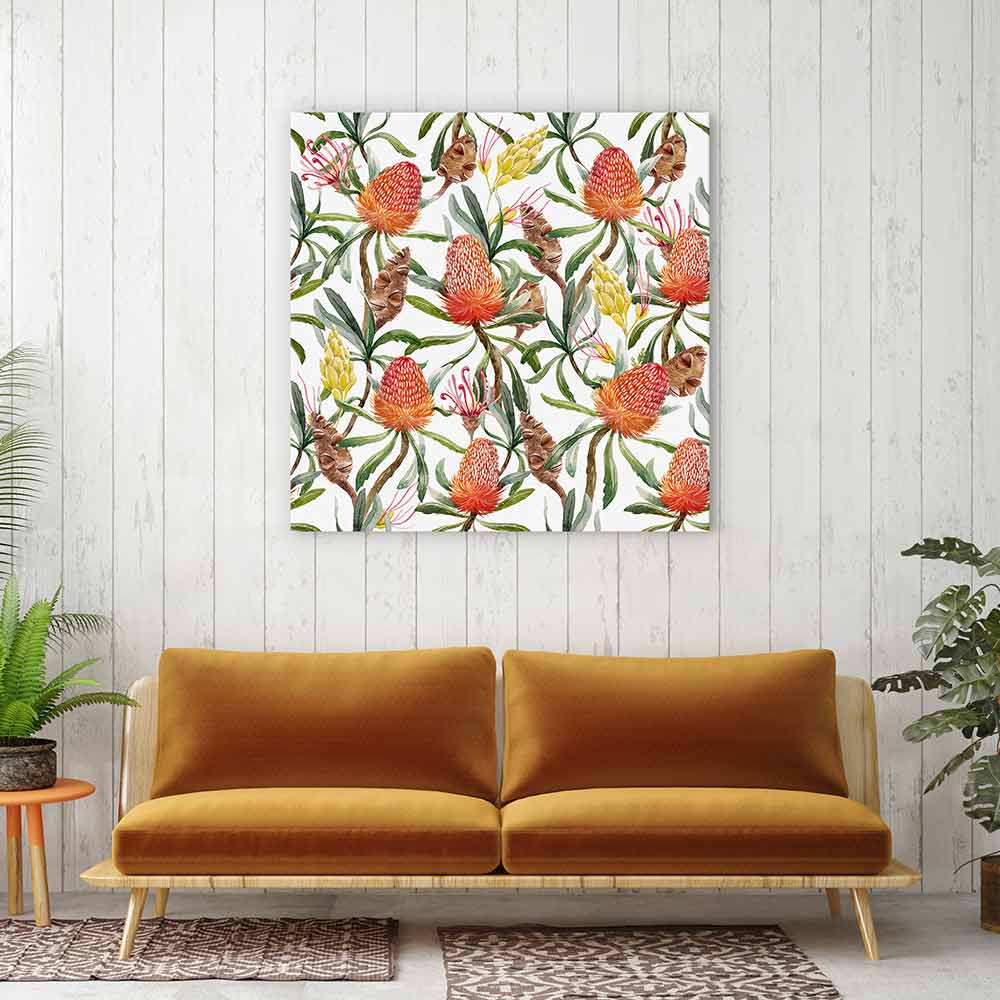 Banksia beauty