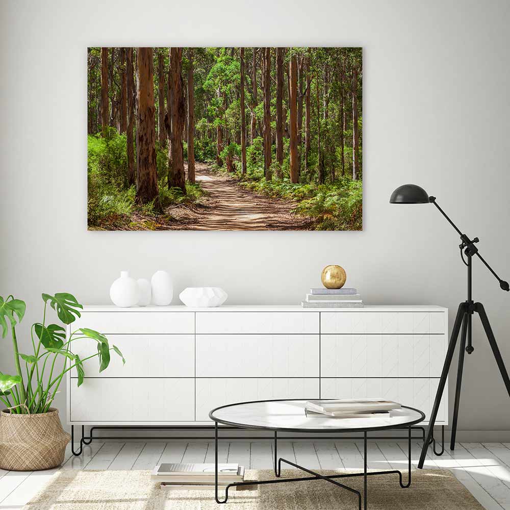 Karri forest trail
