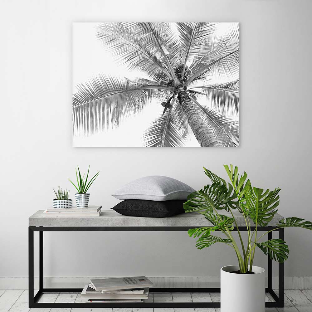 Coconut canopy