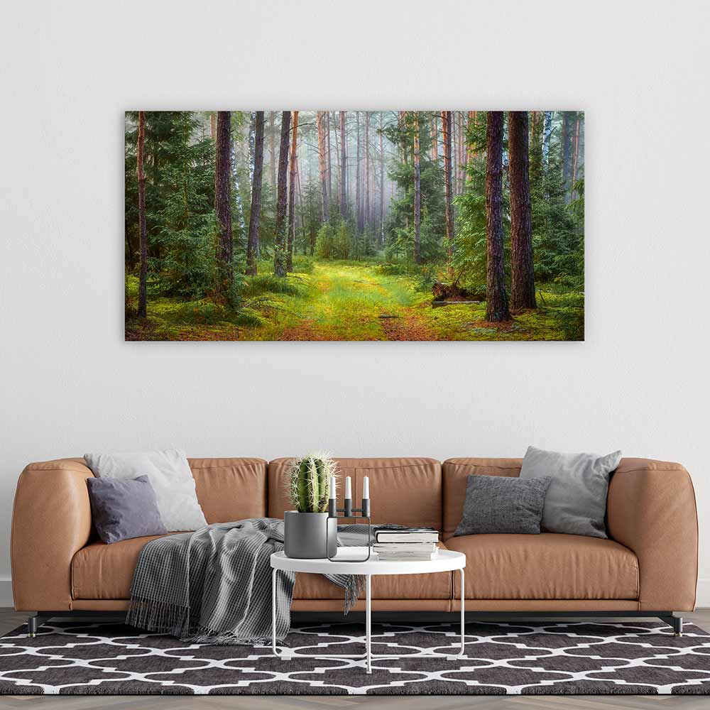 Green forest glade